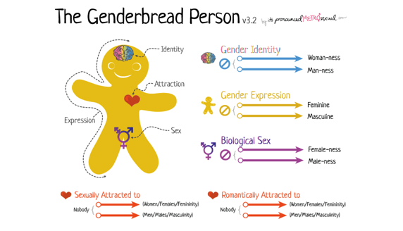 genderbread